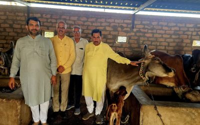 રાજ્યસ્તરીય ફી રીવીઝન કમિટીના સદસ્ય સરતાનભાઈ દેસાઈનું સુરેન્દ્રનગર ખાતે આત્મીય સ્વાગત અને ગૌ-શાળા મુલાકાત